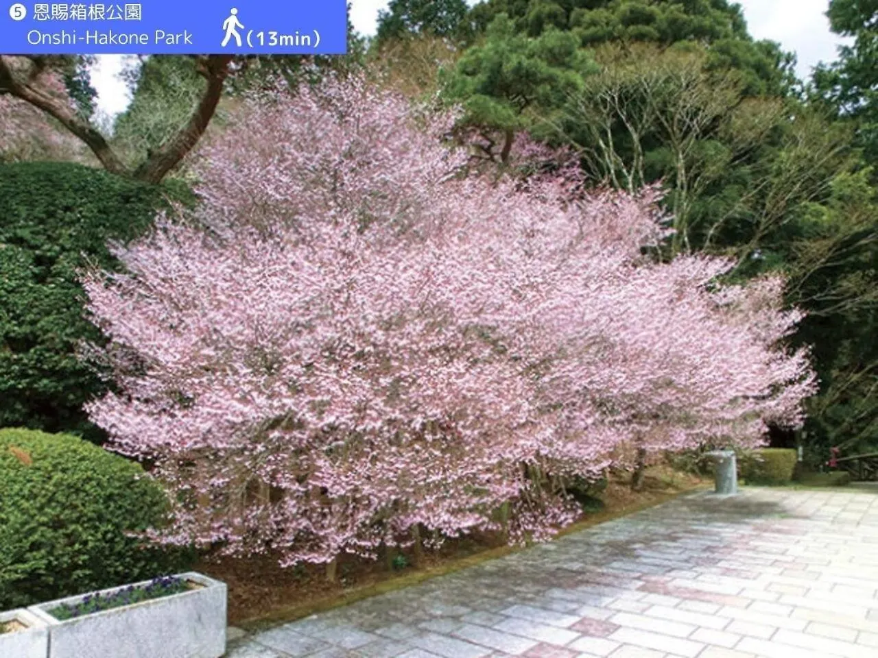 Yoichi Inn 箱根